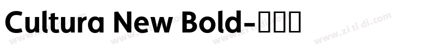 Cultura New Bold字体转换